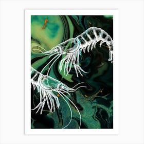 Under Water Wonders Shrimp Black & Green Art Print