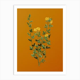 Vintage Yellow Jasmine Flowers Botanical on Sunset Orange n.0160 Art Print