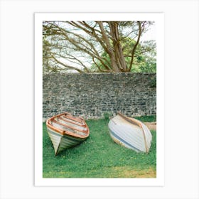 Rowing Boats In The Grass Ireland  Art Print