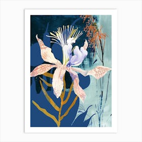 Colourful Flower Illustration Love In A Mist Nigella 4 Art Print