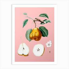 Vintage Pear Botanical on Soft Pink n.0808 Art Print