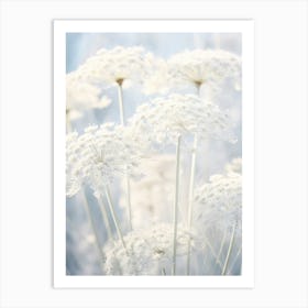 Frosty Botanical Queen Annes Lace 8 Art Print