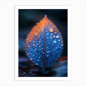 Leaf With Water Droplets Art Print