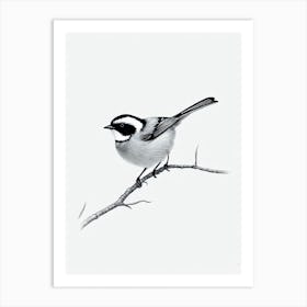 Carolina Chickadee B&W Pencil Drawing 1 Bird Art Print