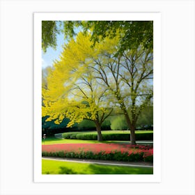 Yellow Tree In The Park Art Print