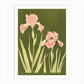 Pink & Green Iris 1 Art Print