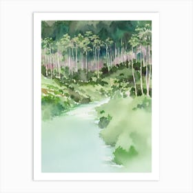 Bwindi Impenetrable National Park Uganda Water Colour Poster Art Print