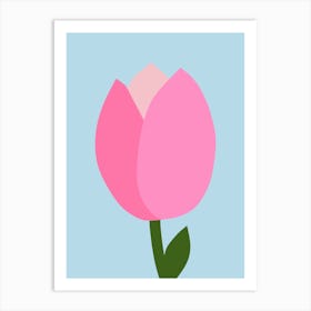 Tulip Pink And Blue Art Print