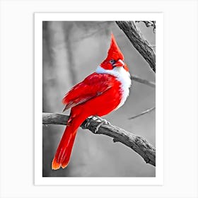 Red Cardinal Art Print