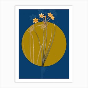 Vintage Botanical Rush Daffodil on Circle Yellow on Blue Art Print