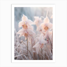 Frosty Botanical Orchid 2 Art Print