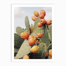 Cactus Fruit Art Print