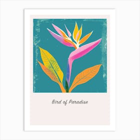 Bird Of Paradise 1 Square Flower Illustration Poster Art Print