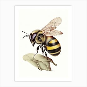 Sting Bee 4 Vintage Art Print