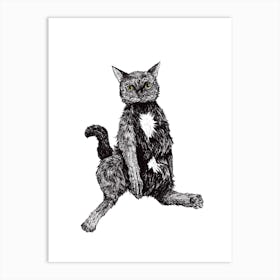 Chunky Cat Art Print