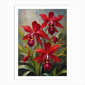 Red Phragmipedium Orchids Oil Painting 1 Art Print