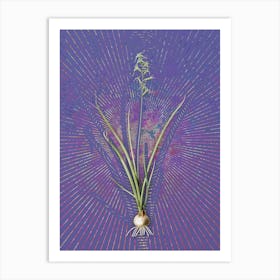 Vintage Hyacinthus Viridis Botanical Illustration on Veri Peri n.0022 Art Print