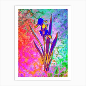 Tall Bearded Iris Botanical in Acid Neon Pink Green and Blue Art Print