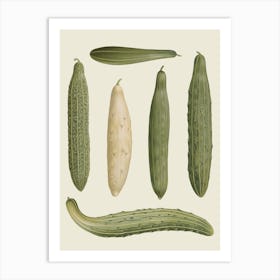 Cucumbers 2 Art Print