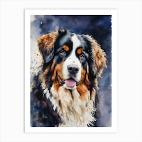 Bernese Mountain Dog Art Print