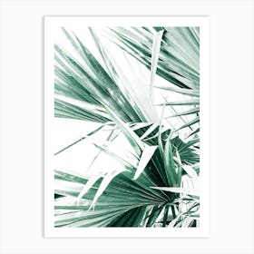 Palm Tree Leaves I Art Print