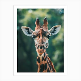 Giraffe 5 Art Print