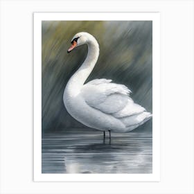 Swan Standing By The Lakeshore Art Print