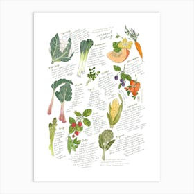 Seasonal Produce Guide, Uk Art Print