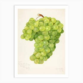 Grapes Art Print