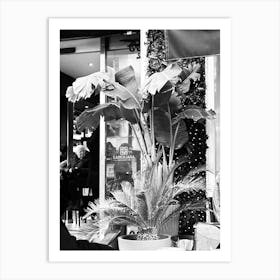 Black And White Photo Art Print