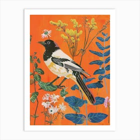 Spring Birds Magpie 1 Art Print