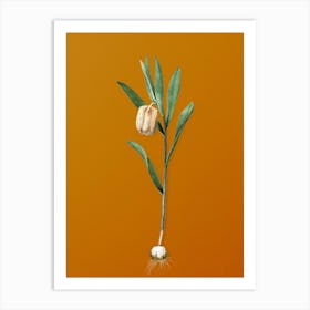 Vintage Fritillaria Latifolia Botanical on Sunset Orange n.0342 Art Print
