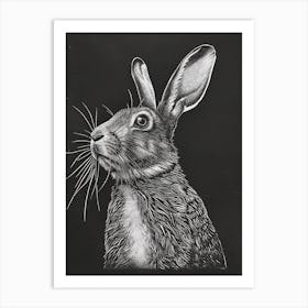 Florida White Blockprint Rabbit Illustration 5 Art Print