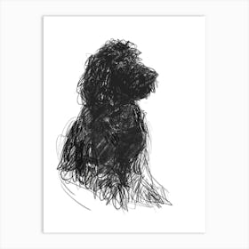 Spanish Water Dog Dog Charcoal Line 2 Art Print