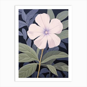 Flower Illustration Periwinkle 1 Art Print