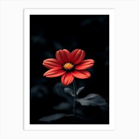 Red Flower 4 Art Print