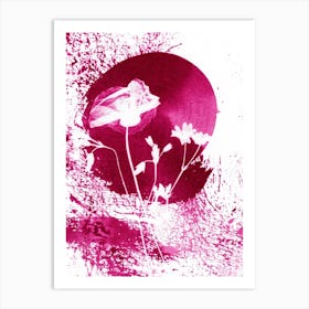 Pink Poppy Flowers Art Print