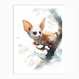 Light Watercolor Painting Of A Mahogany Glider 3 Art Print