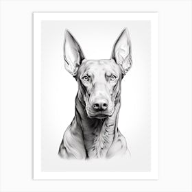 Doberman Pinscher Dog, Line Drawing 3 Art Print