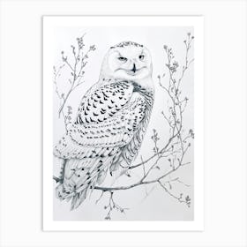 Snowy Owl Marker Drawing 2 Art Print