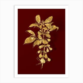 Vintage Mountain Silverbell Botanical in Gold on Red n.0438 Art Print