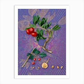 Vintage Red Thorn-Apple Botanical Illustration on Veri Peri n.0855 Art Print