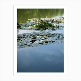 Water lilies and reflection in the water Art Print