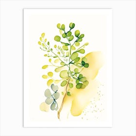 Fenugreek Herb Minimalist Watercolour Art Print