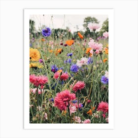 Wildflower Meadow Art Print