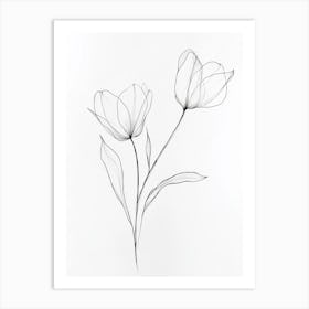 Tulips 1 Art Print