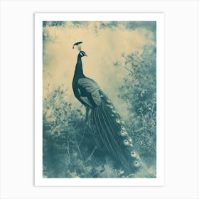 Vintge Photograph Inspired Peacock In A Bush Art Print