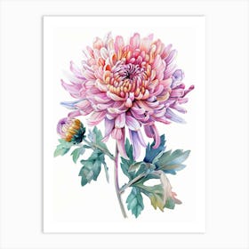 Chrysanthemum 6 Art Print