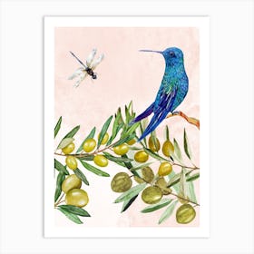 Hummingbird On Olive Branch Art Print