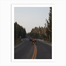 Elk On Highway Art Print